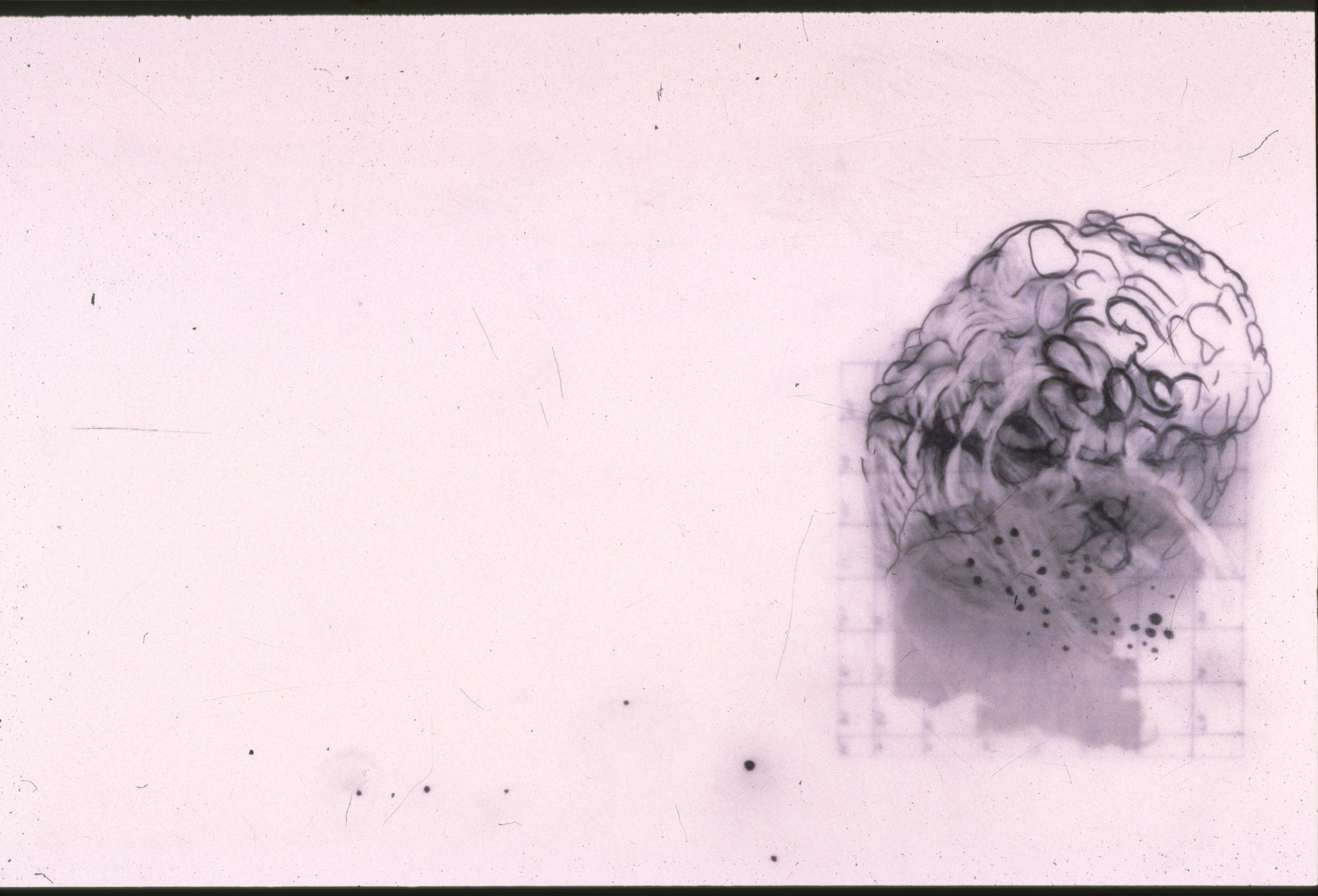 Mapping of Memories Series No. 3, graphite on Mylar, 9 x 12 inches, 2001